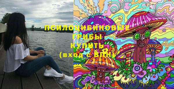 ПСИЛОЦИБИНОВЫЕ ГРИБЫ Новокубанск