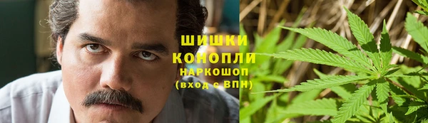 ПСИЛОЦИБИНОВЫЕ ГРИБЫ Новокубанск