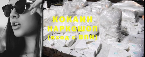 a pvp Новозыбков