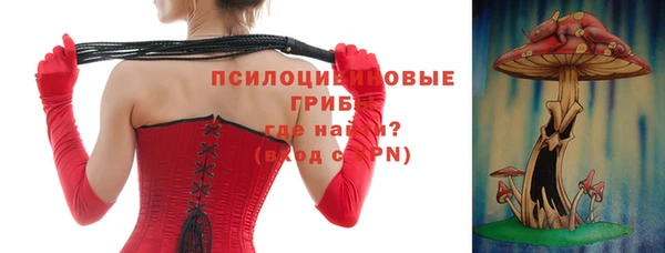 a pvp Новозыбков