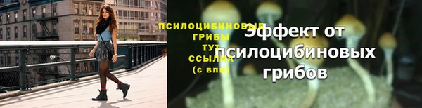 ПСИЛОЦИБИНОВЫЕ ГРИБЫ Новокубанск