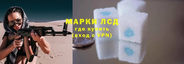 a pvp Новозыбков