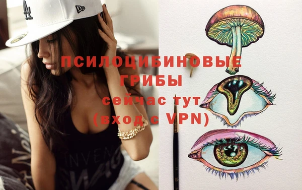 круглые Новодвинск