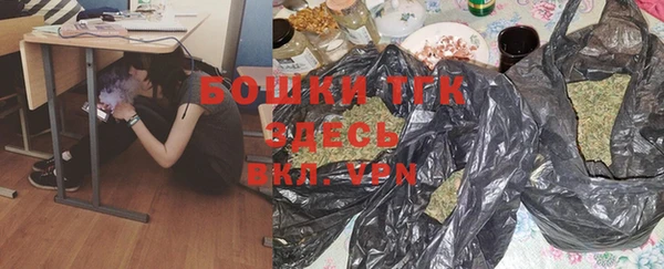 гашик Коряжма