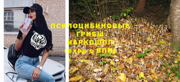 круглые Новодвинск
