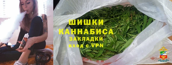 a pvp Новозыбков